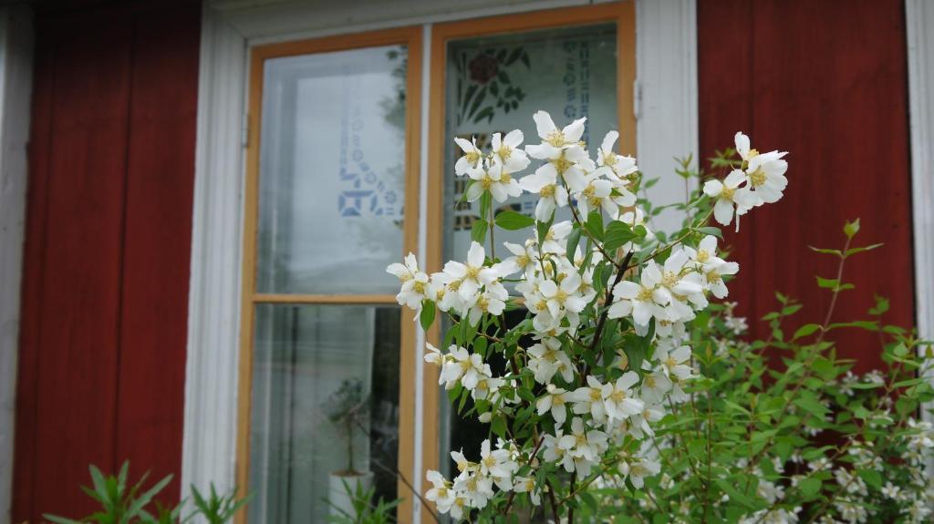 Brostugans Bed & Breakfast Järvsö 外观 照片